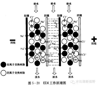 EDI超纯水设备工作原理.png